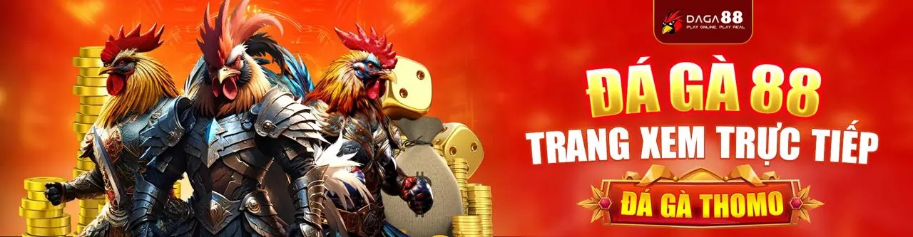 Sân đấu đá gà trực tuyến sôi động tại 123go win